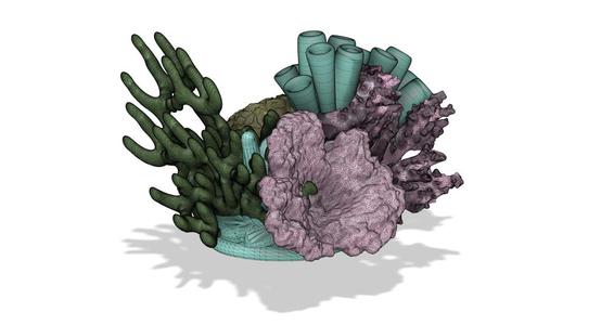 Coral Reef
