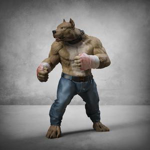 bare knukle fighter- American Bully (classic)
