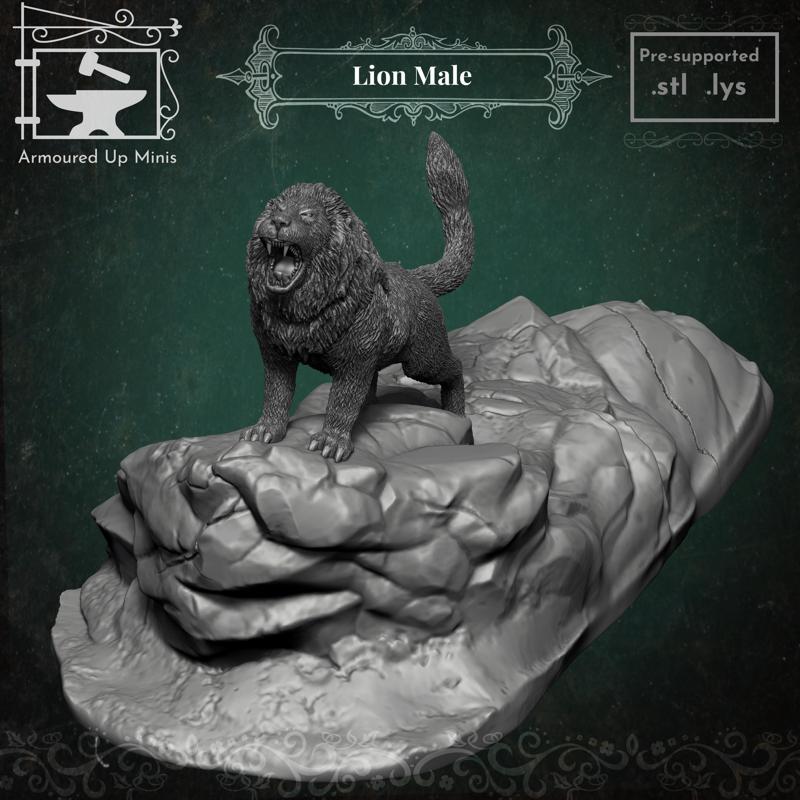 Lion - Male