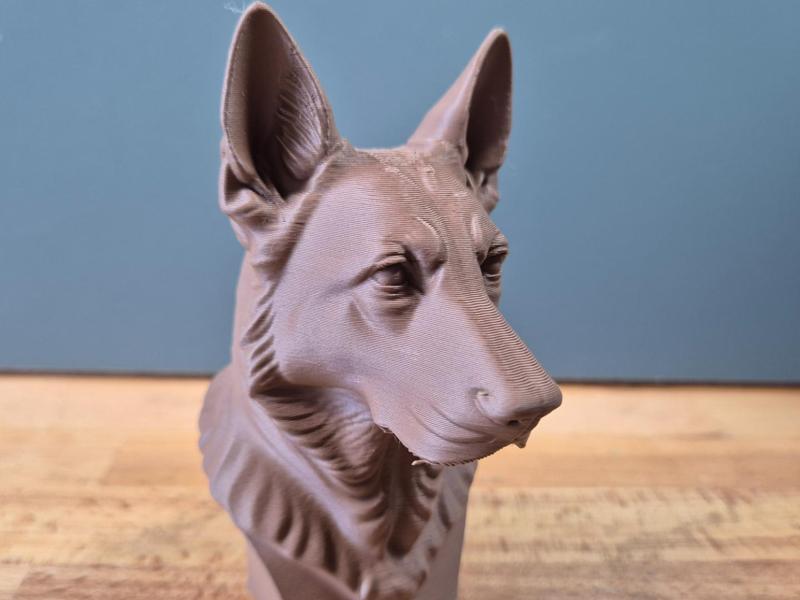 German Shepherd bust