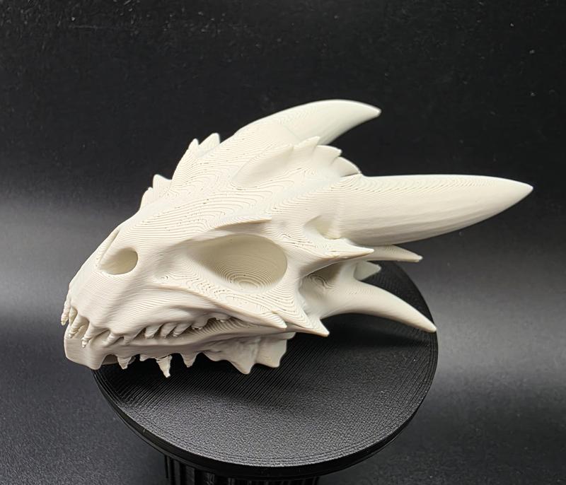 Dragonkin Skull