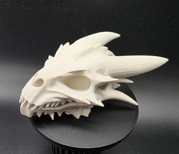 Dragonkin Skull