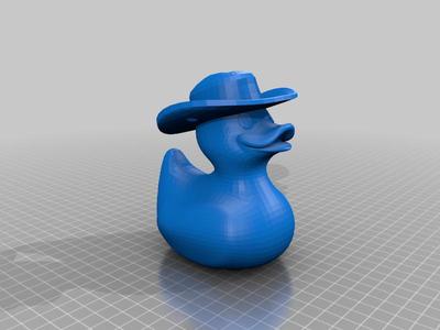 Cowboy duck