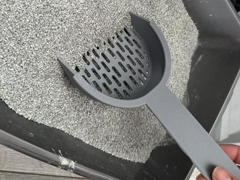 Kitten Poop Scoop