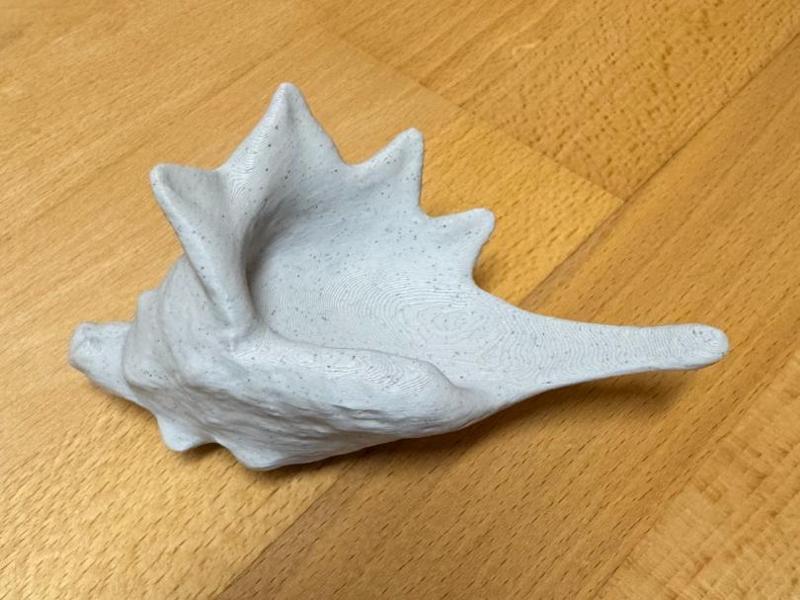 Seashell Sculpture