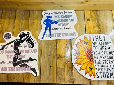 "I Am The Storm" Inspirational Wall Art 