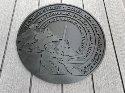 TMNT Manhole Cover