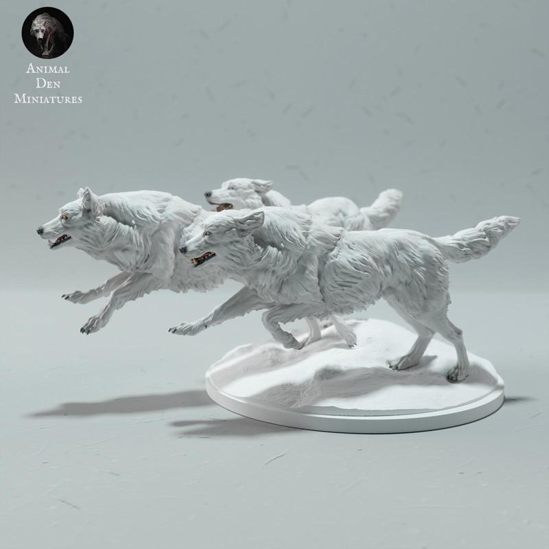 Arctic Wolves Run