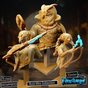 Academy Veridian, Bust Mini Collection