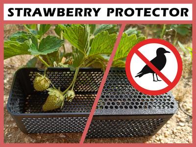 Strawberry protection cage against birds or snails