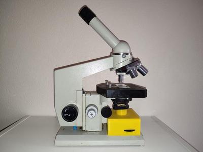 Illuminator for microscope
