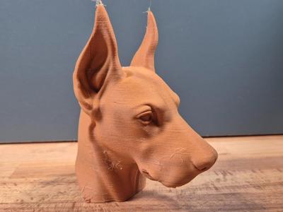 Doberman Bust