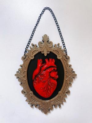 Anatomical Heart in Elegant Frame