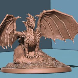 Young Red Dragon