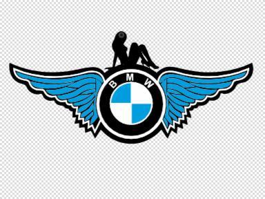 BMW MIRROR HANGER