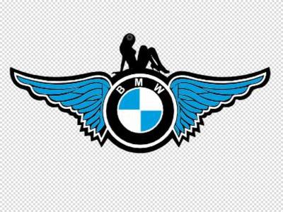 BMW MIRROR HANGER