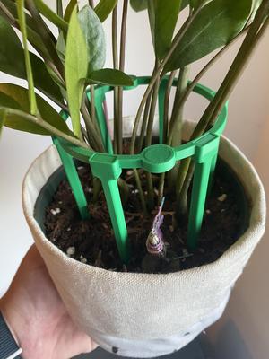 Plant Tamer