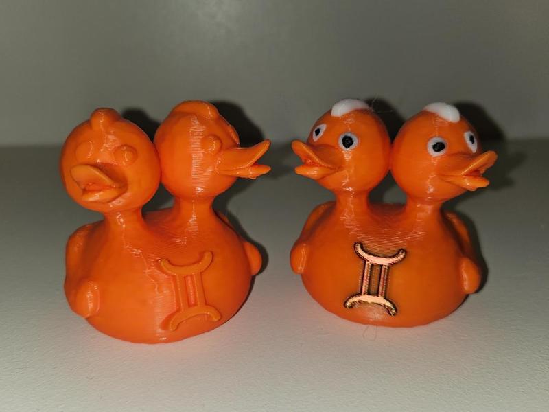 Gemini "The Twins" Duck