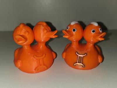 Gemini "The Twins" Duck