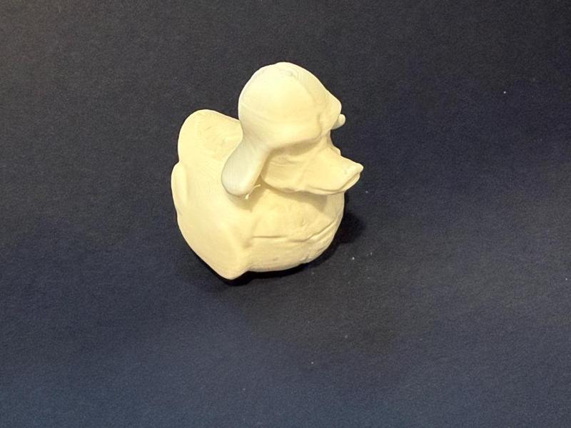 darth vader duck