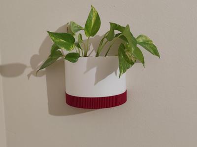 Wall mounted pot