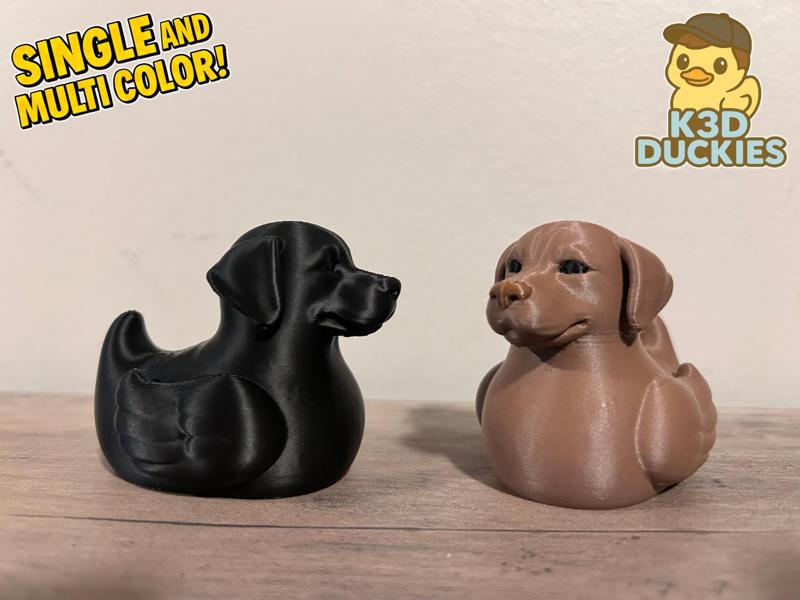 Labrador Retriever Duck