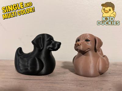 Labrador Retriever Duck