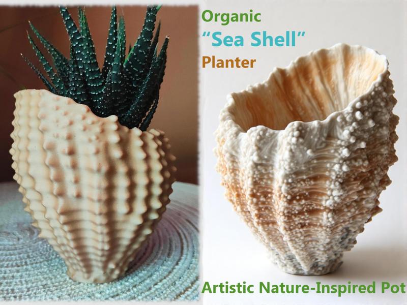 Organic “Sea Shell” Planter