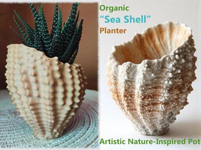 Organic “Sea Shell” Planter