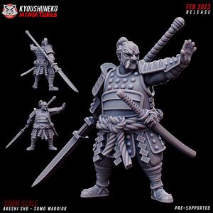 Akeshi Sho Sumo Warrior Hero