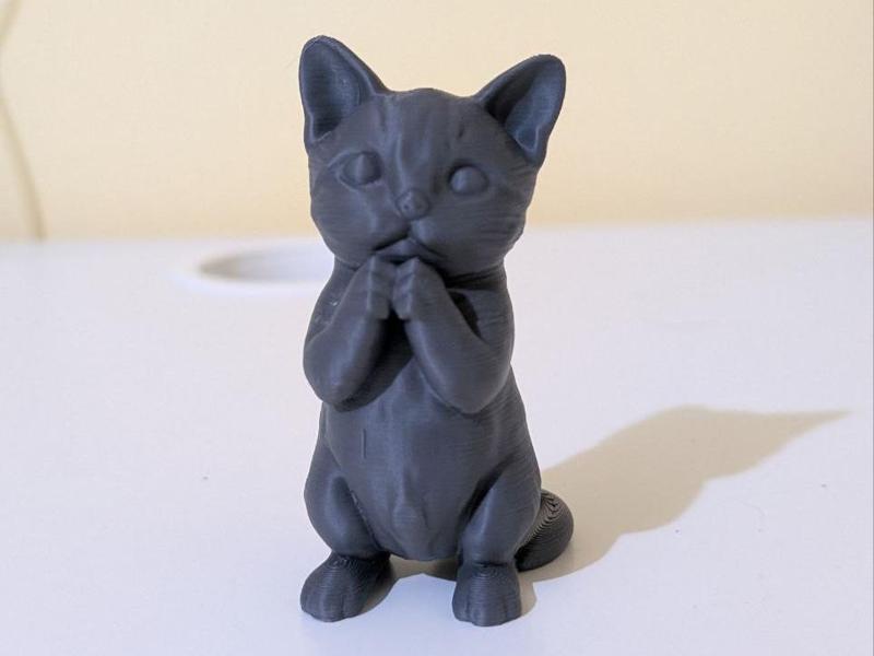 Neko Supplica - The cute praying cat