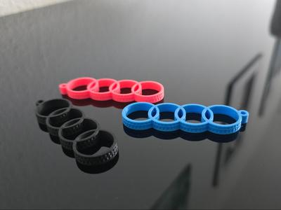 Audi keychain Tire style
