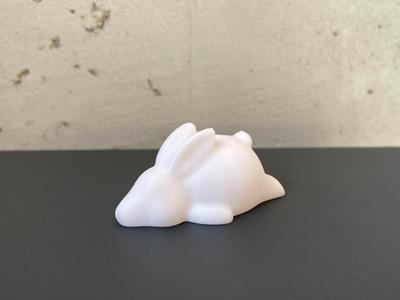 cute lying easter bunny