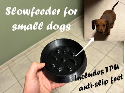 Slowfeeder bowl for small dogs