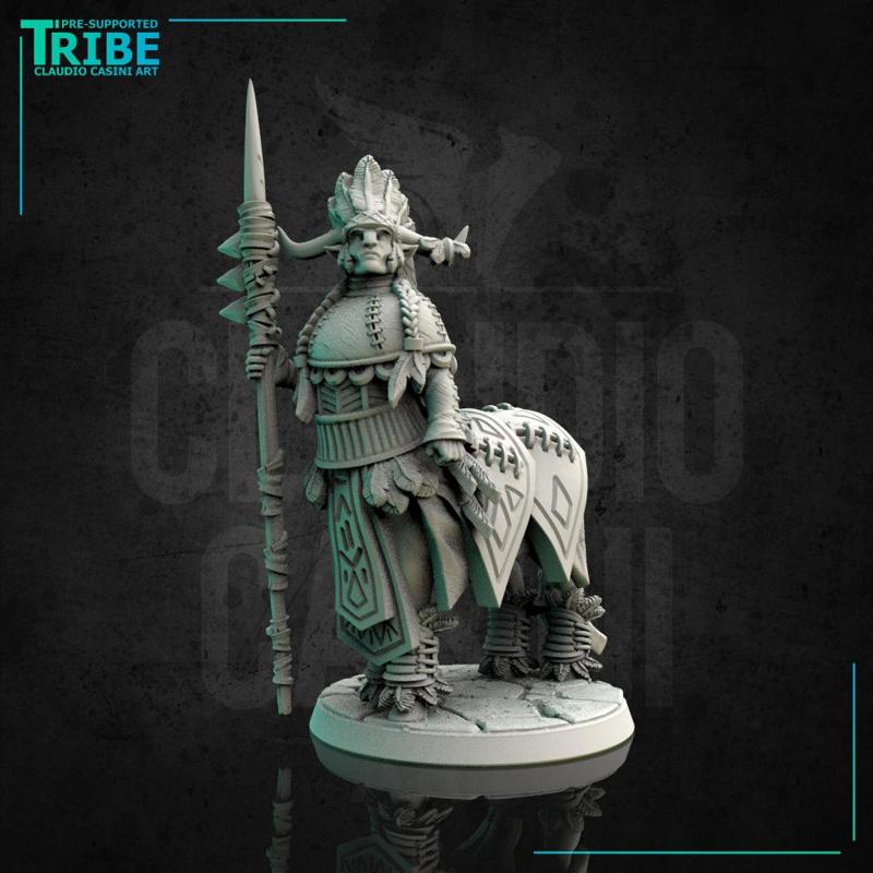(0126) Male centaur boss with lance
