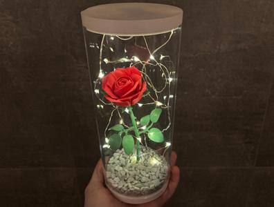 Eternal Rose