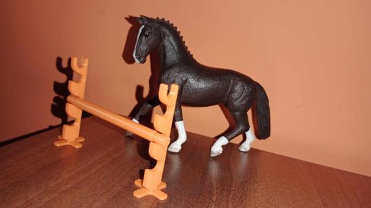 OBSTACLE for horses