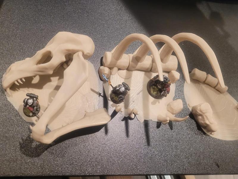 Desert Dragon / dinosaur skeleton