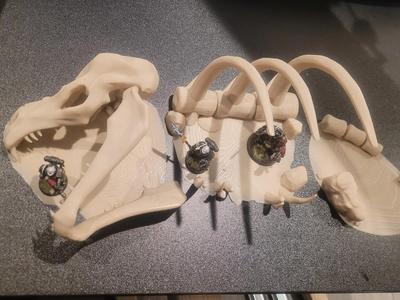 Desert Dragon / dinosaur skeleton