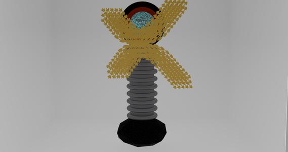 The Award