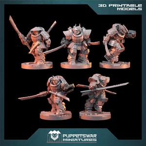 Dragon Bushi Strikers Set