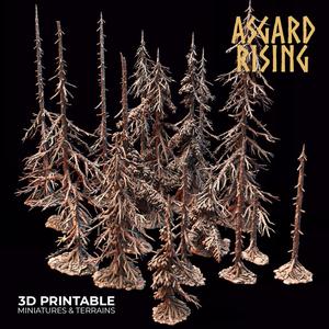 Coniferous Forest - Dry Spruce Trees /Modular Set/