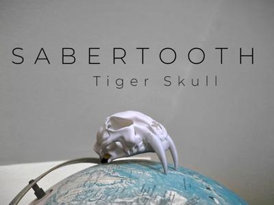 "Sabertooth" Skull