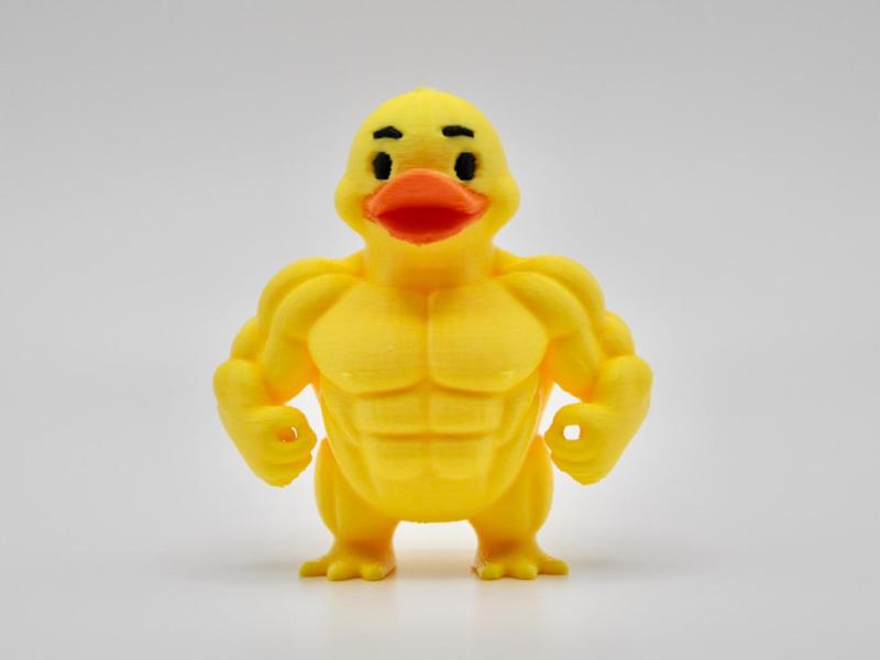 Muscular Duck