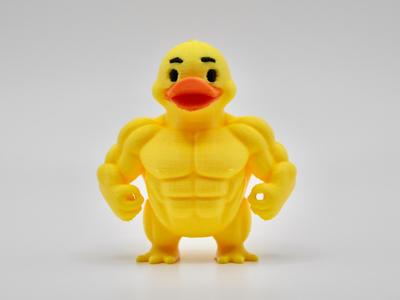 Muscular Duck