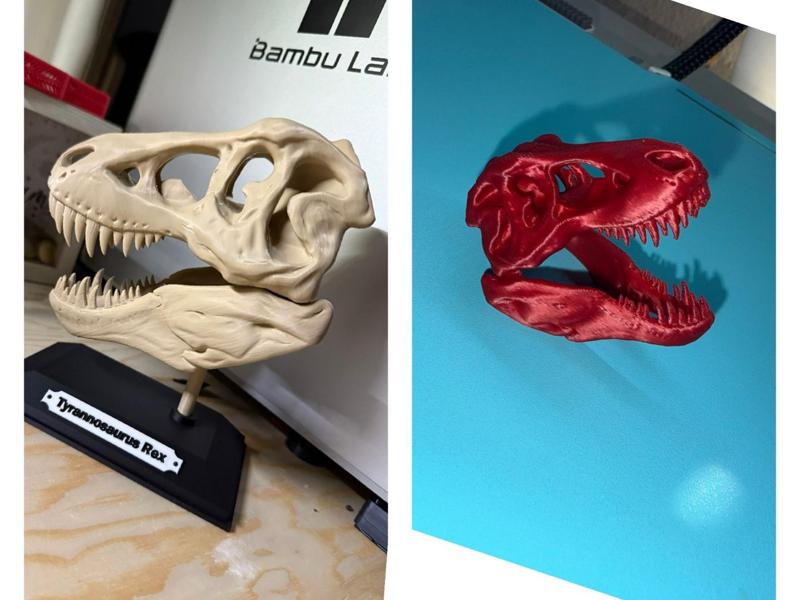 T-Rex Skull 