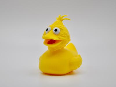 Big Bird Duck