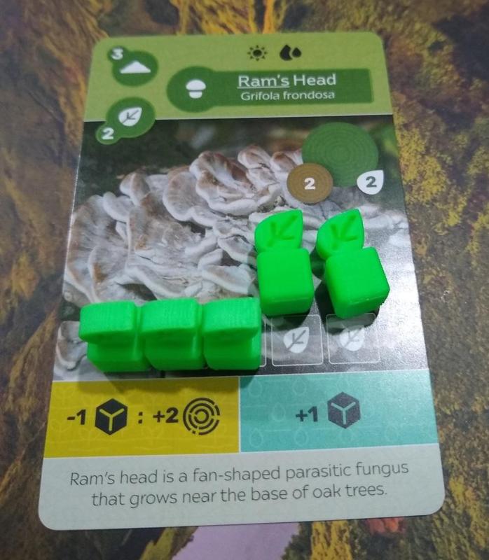Earth Board Game Bits - Sprout Cube