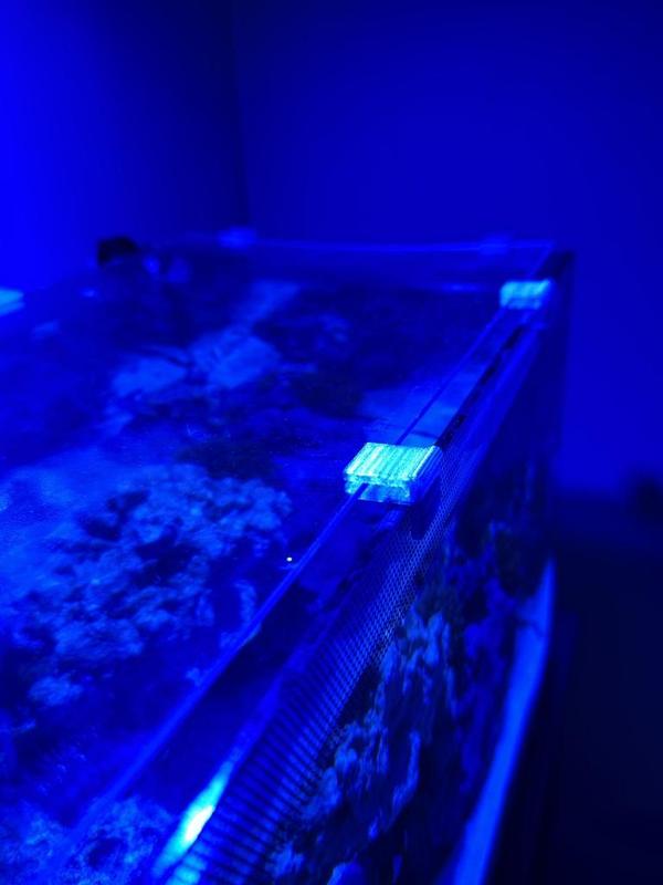 Clips to hold plexiglass lid on rimless fish tanks. Fluval Sea 13.5