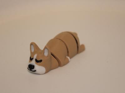 sleeping corgi dog flexi print in place